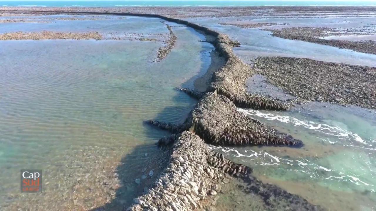 Les Pieds Dans L'Eau Acces Direct A La Plage La Cotinière Εξωτερικό φωτογραφία