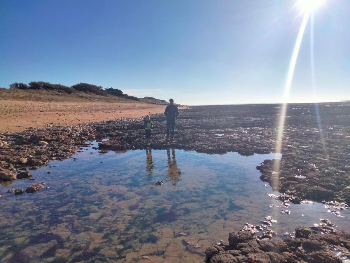 Les Pieds Dans L'Eau Acces Direct A La Plage La Cotinière Εξωτερικό φωτογραφία