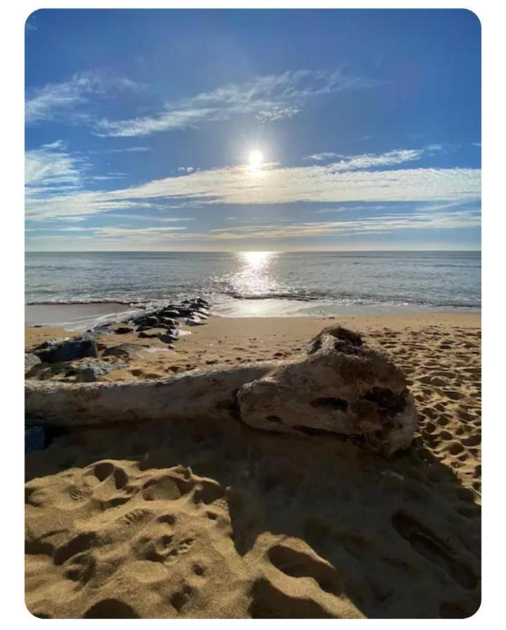 Les Pieds Dans L'Eau Acces Direct A La Plage La Cotinière Εξωτερικό φωτογραφία