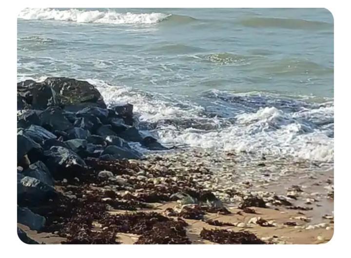 Les Pieds Dans L'Eau Acces Direct A La Plage La Cotinière Εξωτερικό φωτογραφία
